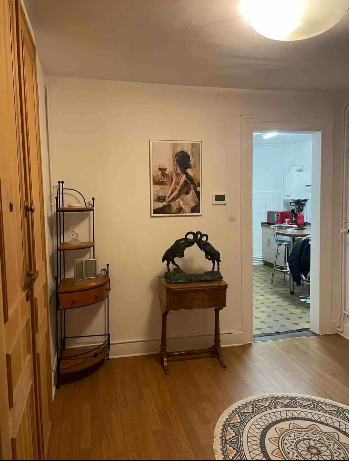 Spacious Apartment City Centre สตราสบูร์ก ภายนอก รูปภาพ