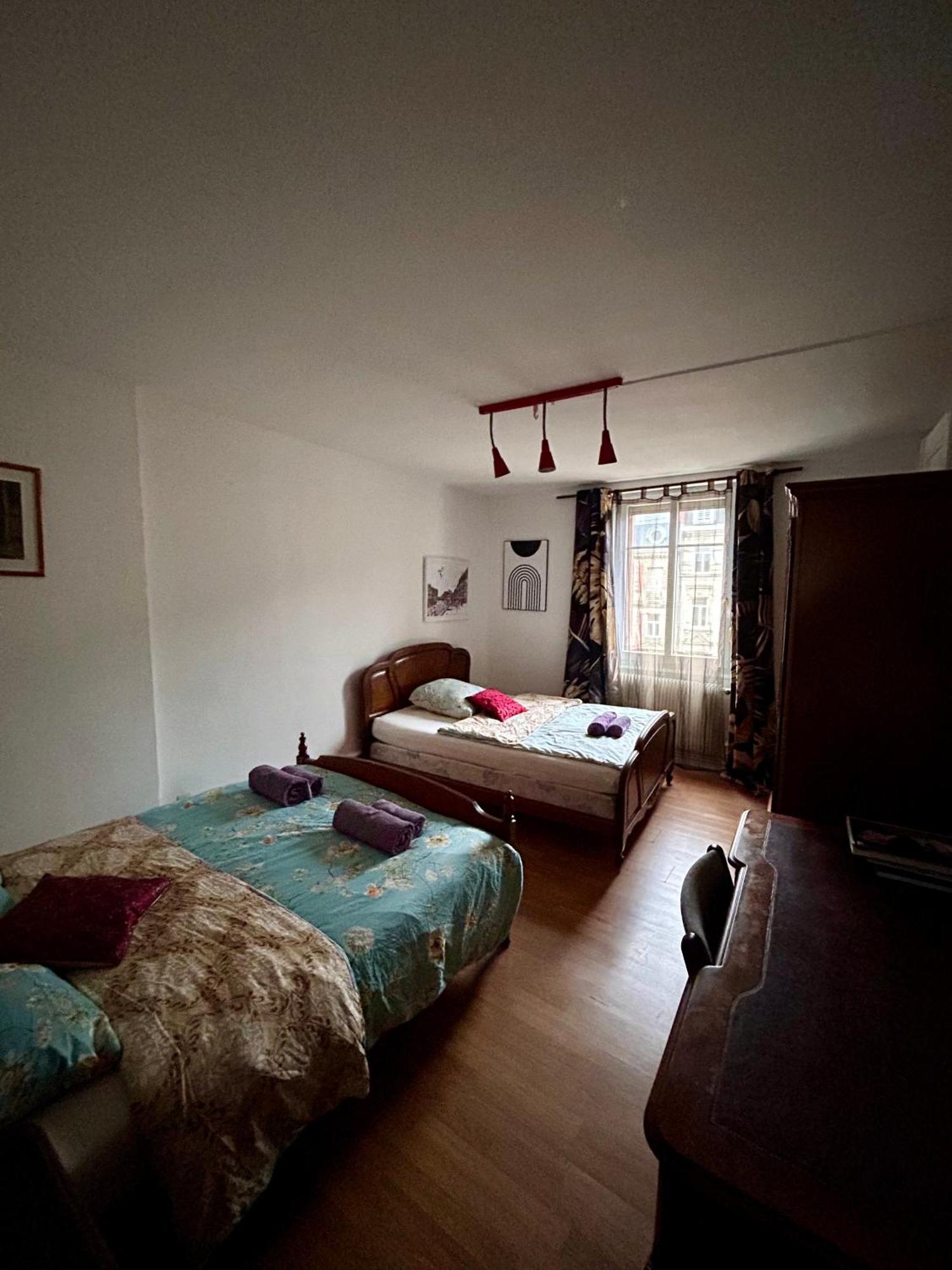 Spacious Apartment City Centre สตราสบูร์ก ภายนอก รูปภาพ