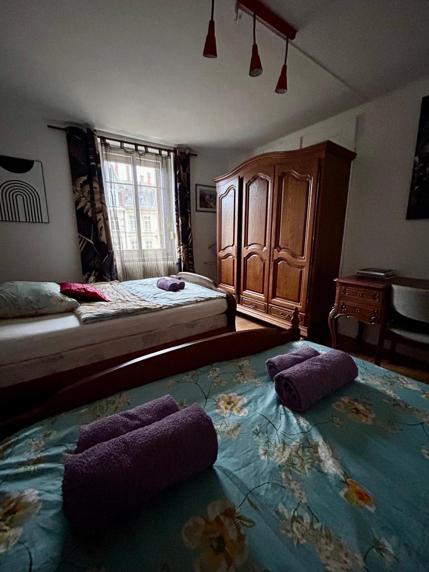 Spacious Apartment City Centre สตราสบูร์ก ภายนอก รูปภาพ