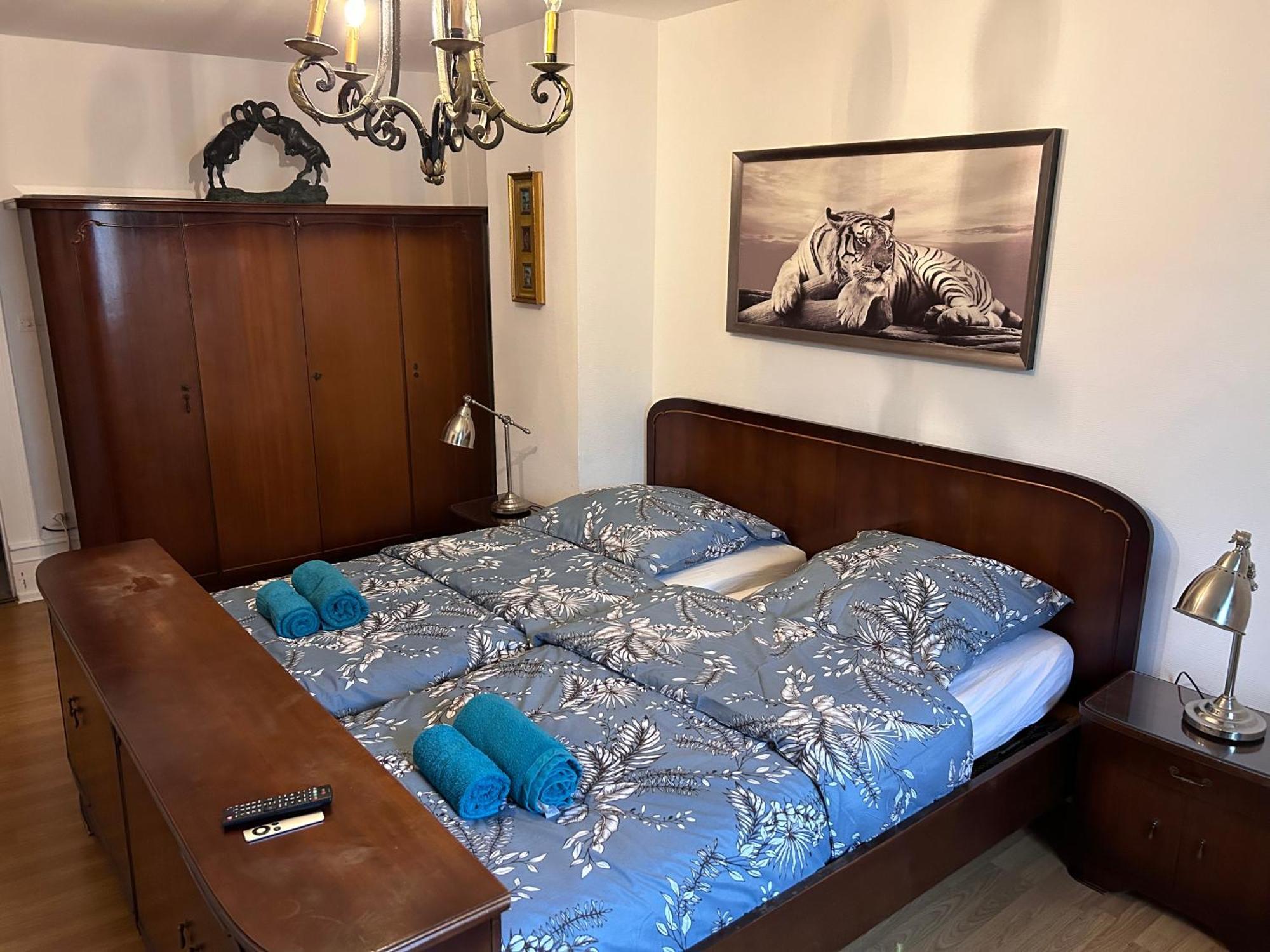 Spacious Apartment City Centre สตราสบูร์ก ภายนอก รูปภาพ